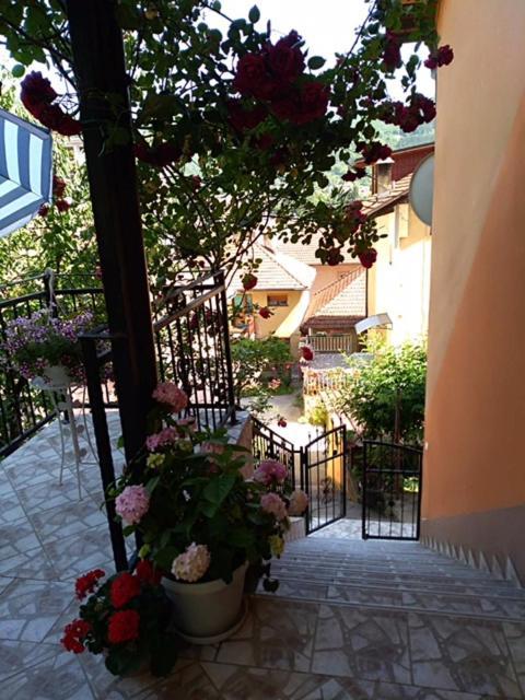 Gorazde-Centar Apartment Luaran gambar