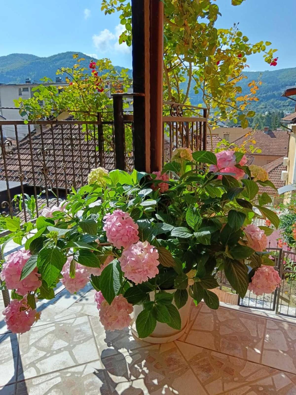 Gorazde-Centar Apartment Luaran gambar